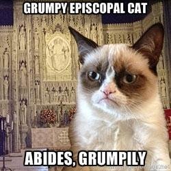 Grumpy Episcopal Cat Abides