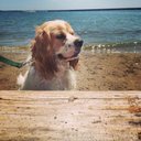 Jess Pease - @wastedwords_4 - Twitter