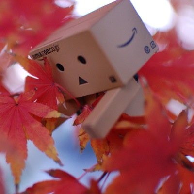 きみみみーどり( ・∇・)さんのプロフィール画像