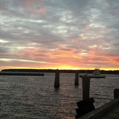 frankieboones's profile picture. 