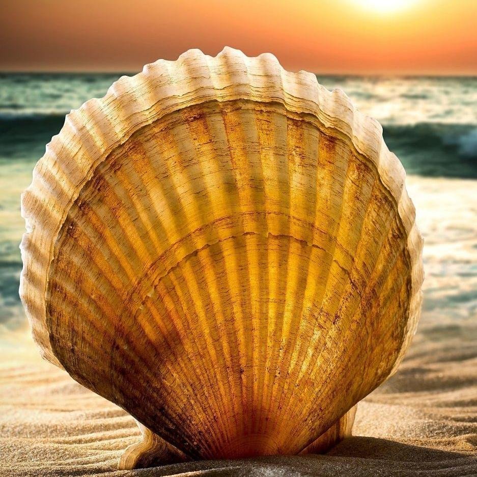 carolinelegg73's profile picture. Top 5 stuff…. Kiwi, vegan, yoga, beaches & wine (reshuffle order regularly)