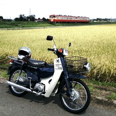 カブ農園の作業員