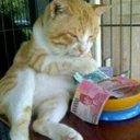 edy widodo (@1979_edy) Twitter