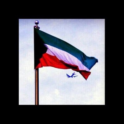 ‏‏‏  مؤيّد لكل فكر يرى مصلحة الكويت قبل نفسه
. متفائل دائماً