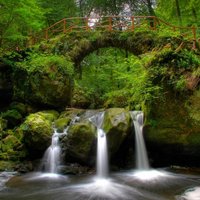 Melaleuca Rep (@melaleuca_rep) 's Twitter Profile