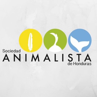 Somos una organización sin fines de lucro, comprometidos a defender los derechos de los animales en Honduras.