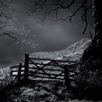 TeamKSS_WL's profile picture. 