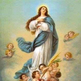 FDMTB2016's profile picture. Aquí se os informará de todo tipo de eventos que hagamos. Un saludo!