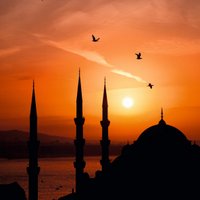 Ehli Sünnet Alimleri (@ehli___sunnet) 's Twitter Profile Photo