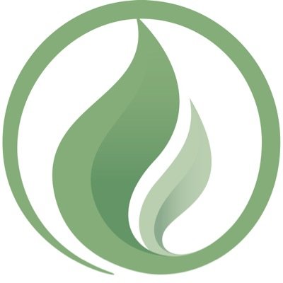 Experienced Acupuncturist & Herbalist providing personalised Chinese Medicine healthcare in Frome, NE Somerset.
