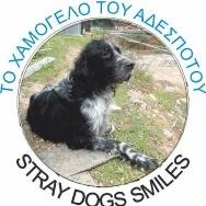 STRAY DOGS SMILES is a very new Non Profit making NGO established in Athens Greece this September 2014.