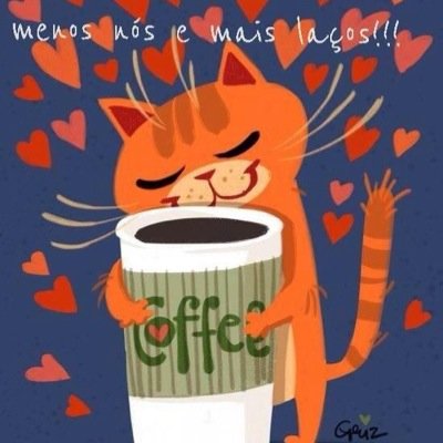 Estou idosa, empresária, mãe, avó e amo gatos. Tenho seis .