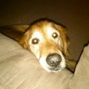 John Pulliam - @johnpulliam63 - Twitter