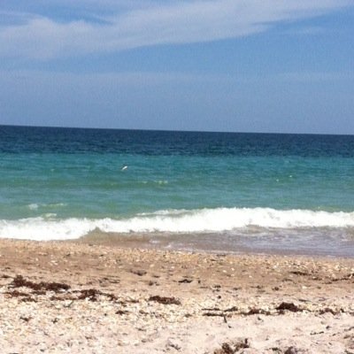 beachingbob's profile picture. 