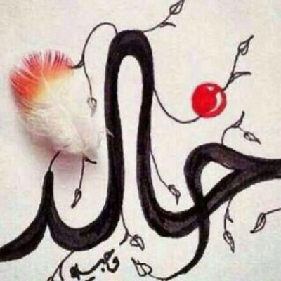 Aqschotmailcom1's profile image