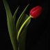zübeyde yılmaz (@ylmazzbeyde) Twitter profile photo zübeyde yılmaz (@ylmazzbeyde) Twitter profile photo