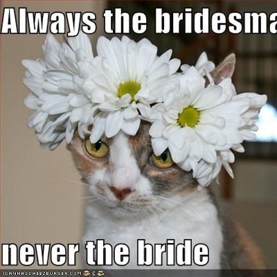 Perpetual bridesmaid, awesome auntie and new blogger!!

http://t.co/xXh7i1W6u1