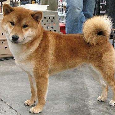 ruch_star's profile picture. Forever in search of perfect curly hair, lover of cheese and wine, aspiring yogi (emphasis on aspiring)