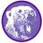 polarbearsoccer's profile image