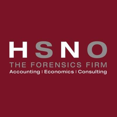 HSNO is internationally recognized as a leader in insurance claims accounting, litigation support and expert testimony.