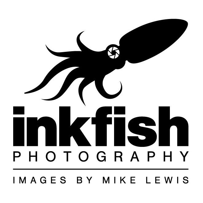 Twitter Feed for http://t.co/6d1Wr39IrD aka Mike Lewis. Please RT any images you think are worthy!