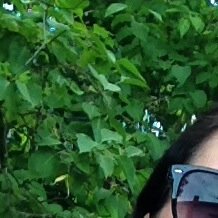 UlrikaOlsson2's profile picture. 