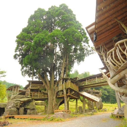 sougotree2736's profile picture. ☆フォローしてくれた人99%フォロパ☆相互を希望する人（アダルト以外OK）☆相互希望☆相互しまくります。#followme #followmejp #refollow #refollowjp #相互 #リフォロー #フォロワー