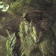 BYUITrees's profile picture. We are the trees of BYU-I, and we hear all...