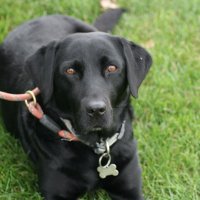 Phillipa Hilton (@13hilton1) 's Twitter Profile Photo Phillipa Hilton (@13hilton1) 's Twitter Profile Photo