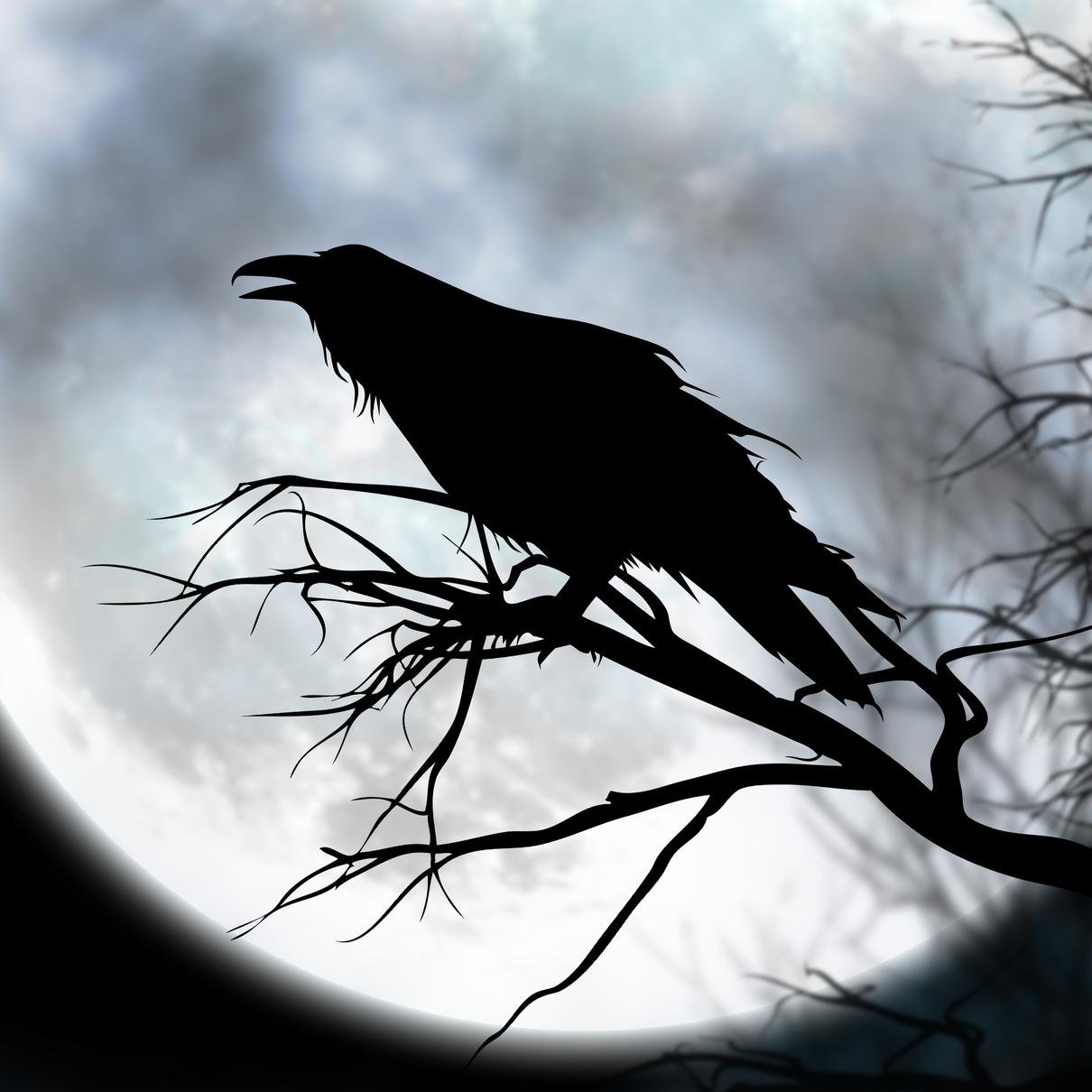 nEvermore, by modern Masters of Mystery & the Macabre, is an anthology that recaptures the pleasures of Poe's Gothic tales.