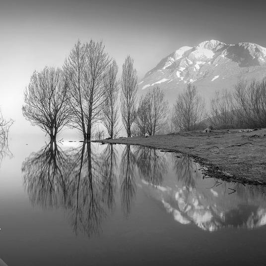 akitopofe's profile picture.