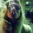 rpgdh2's profile image