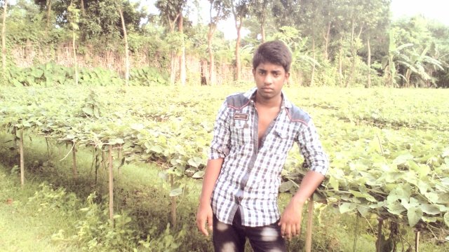 moheshpur's profile picture. 