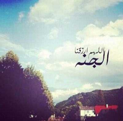 ‏فولو و ‏‏رتويت للحساب فالاجر لي ولك 29BE1DEF