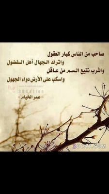 ‏‏نونو