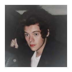 I know these are annoying but pls go follow @storminghxrry she follows back, just ask