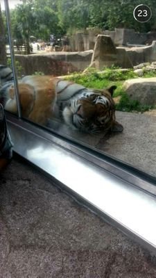 Rachel32Forbes's profile picture. 