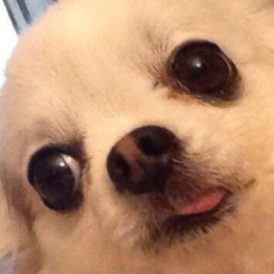 COMMIT_C's profile picture. 