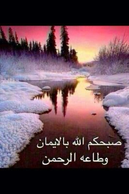 GmxHassan's profile picture. باحث في السياسات الداخلية خريج جامعة البحرين