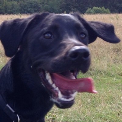 LouisNotley's profile picture. 