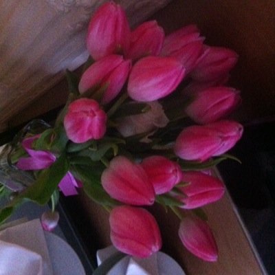 Anastas10012231's profile picture. Love is to share. Mine is for you.