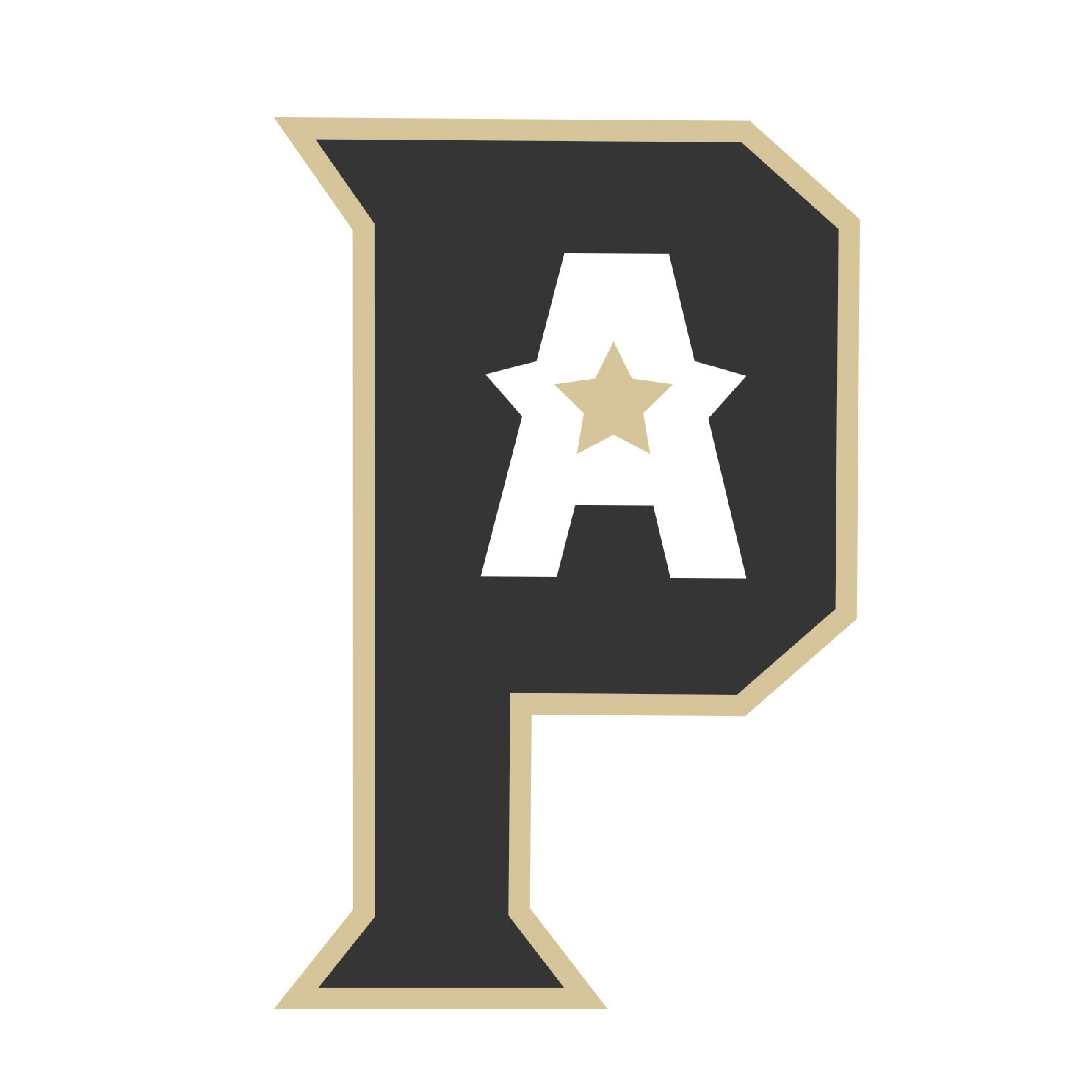 PA Playmakers Profile