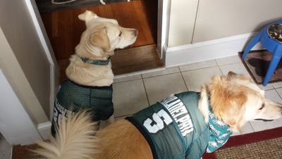 Accountant by day and Dad at night! Fan of all Philly Sports.