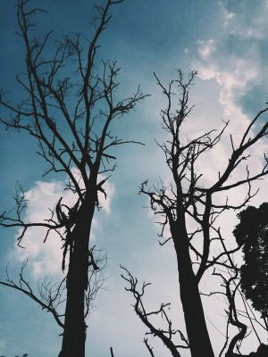 aqishshaikh's profile picture. still the same one, since '10