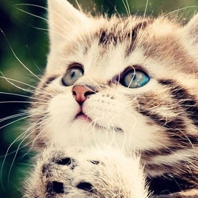 follow me i'll follow you!