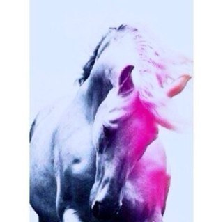 حسابي للأدعيه: @mmmggg0