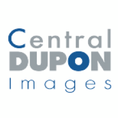 LaboDupon's profile picture. Professional Photo Lab