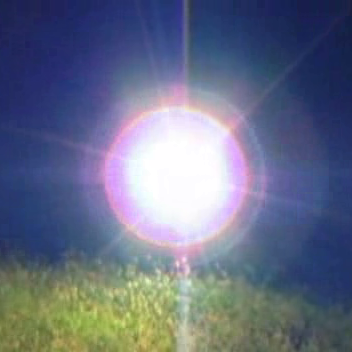 _xilantro's profile picture. busy replying to myself