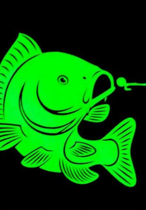Karpfenangler :)