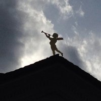 Roser Velasco (@velascoroser) 's Twitter Profile